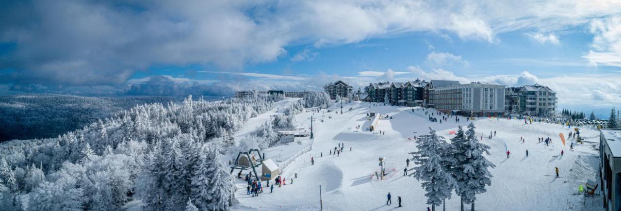 Stroll To Slopes, Village Area, Ski In-Out Mtlodge 304 Сноушу Экстерьер фото